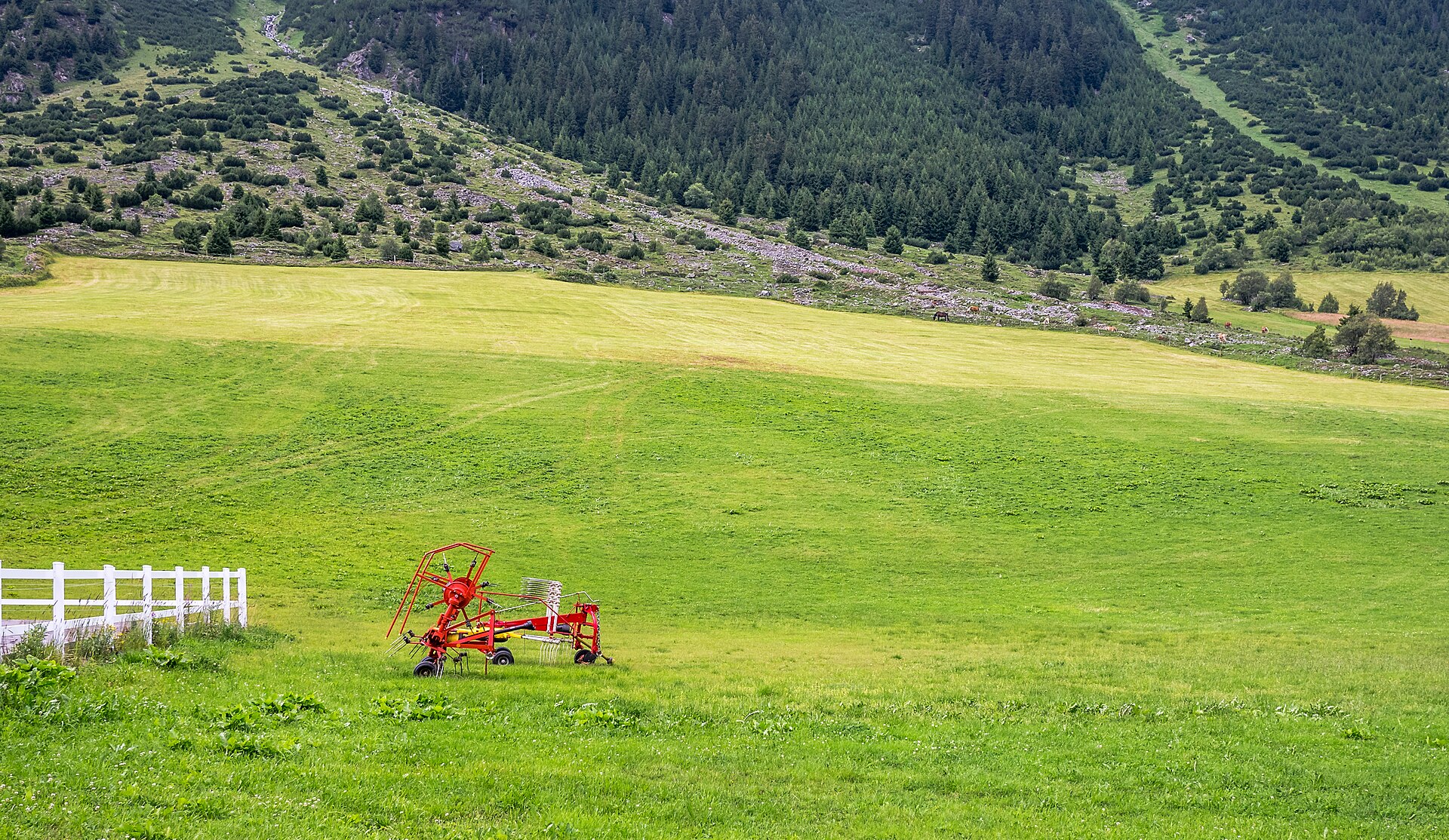 Benachbarte Landwirtschaftsflächen für betrieblichen Zuerwerb in Österreich